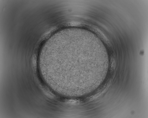 X0000116830542201001151228