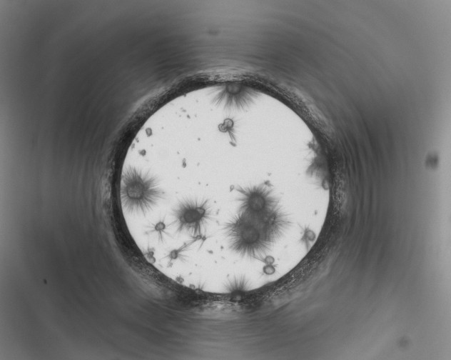 X0000116830543201001151228