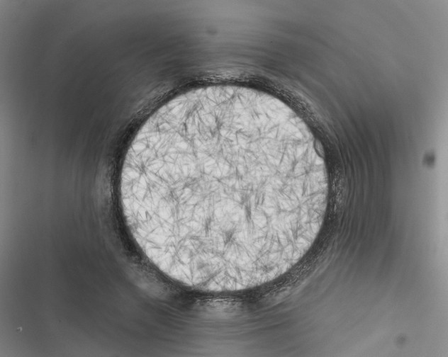 X0000116830546201001151228