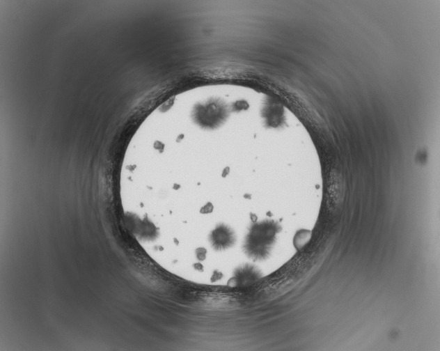 X0000116830547201001151228