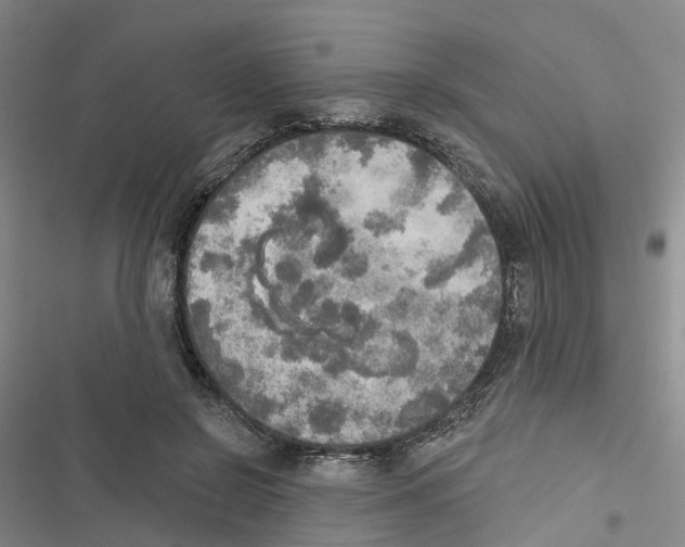 X0000116830550201001151228