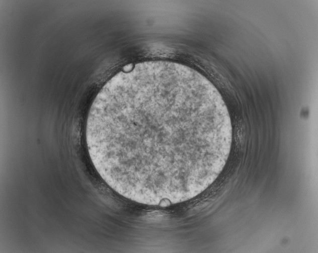 X0000116830551201001151228