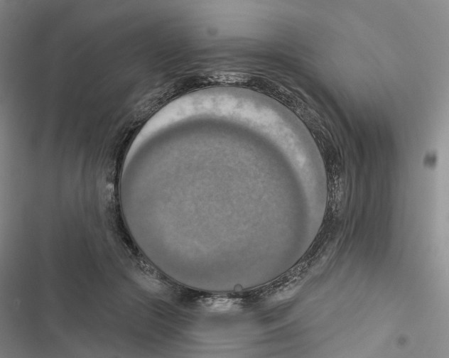 X0000116830553201001151228