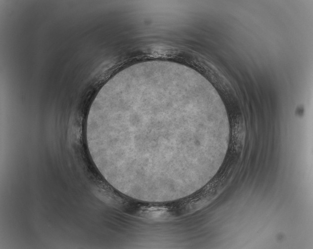 X0000116830554201001151228