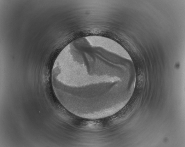 X0000116830555201001151228