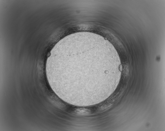 X0000116830557201001151228