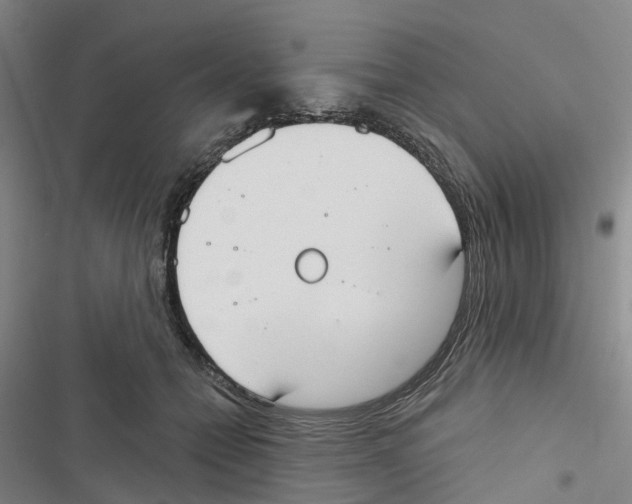 X0000116830558201001151228