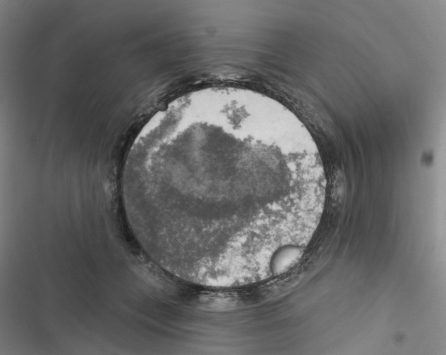 X0000116830559201001151228