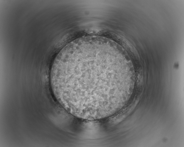 X0000116830561201001151228