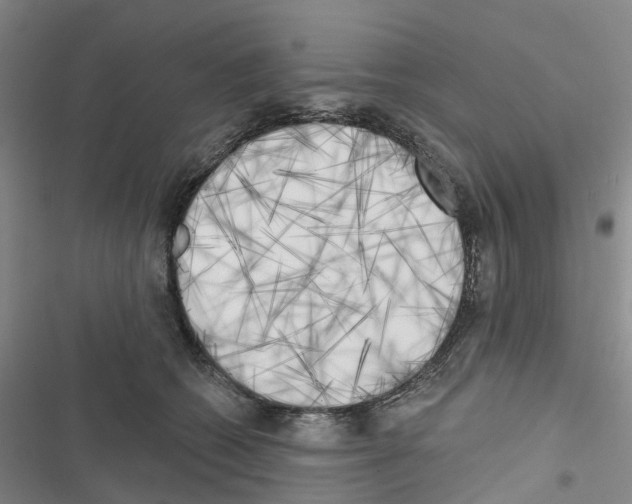 X0000116830562201001151228