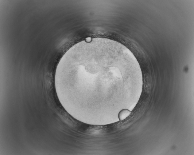 X0000116830563201001151228