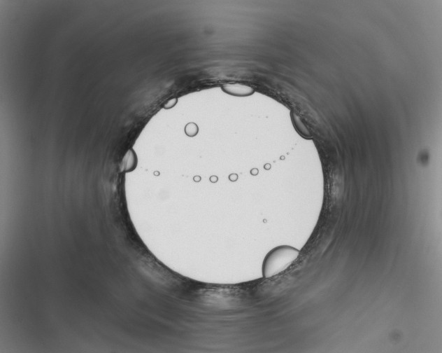 X0000116830567201001151229