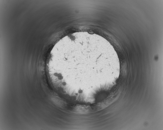 X0000116830571201001151229