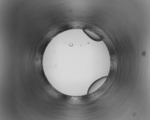 X0000116830573201001151229