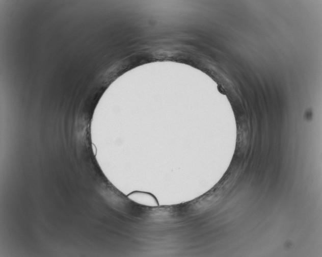 X0000116830574201001151229