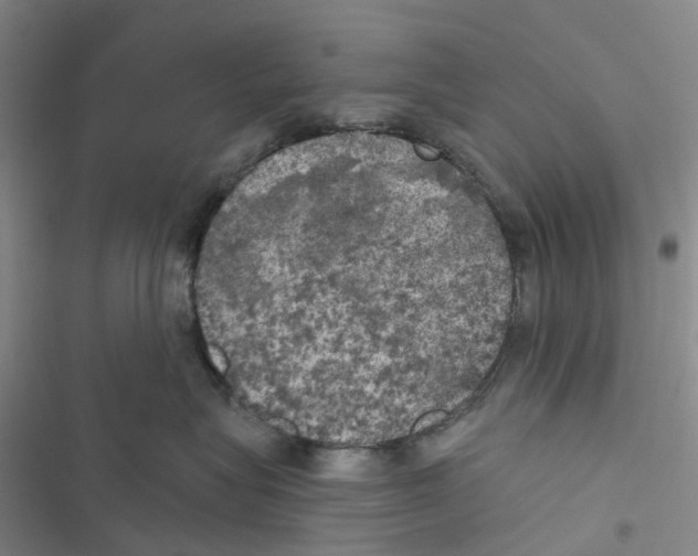 X0000116830575201001151229