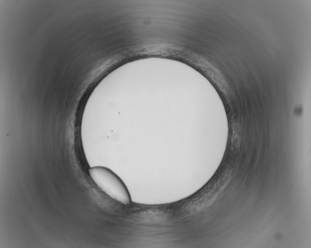 X0000116830578201001151228