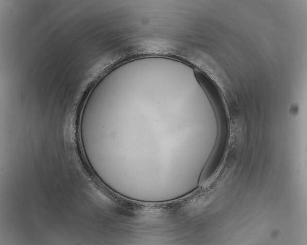 X0000116830581201001151228