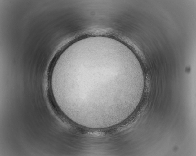 X0000116830582201001151228