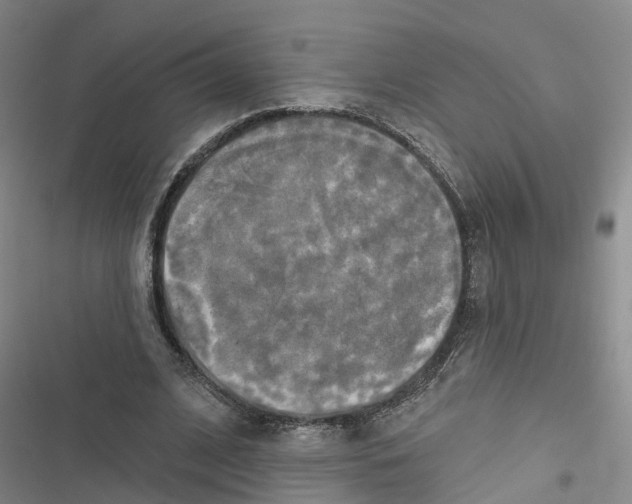 X0000116830584201001151228