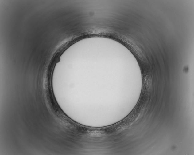 X0000116830587201001151228