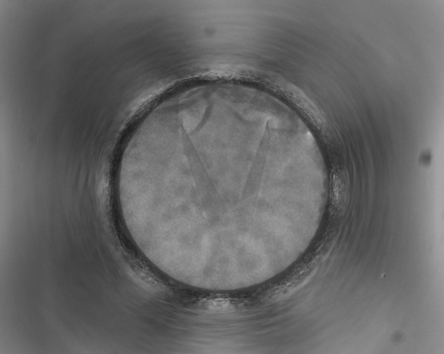 X0000116830588201001151228