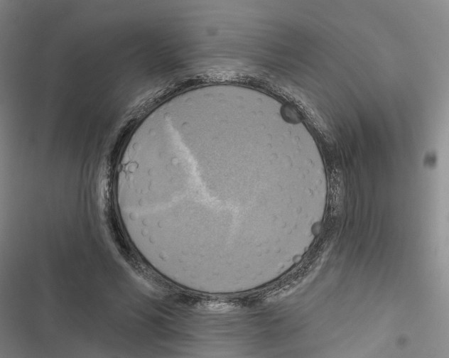 X0000116830590201001151228