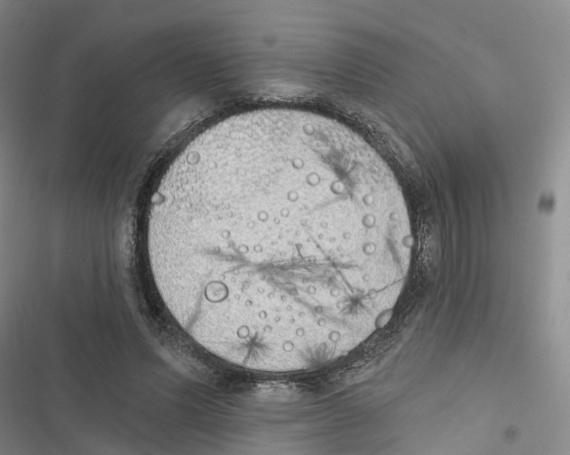 X0000116830591201001151228