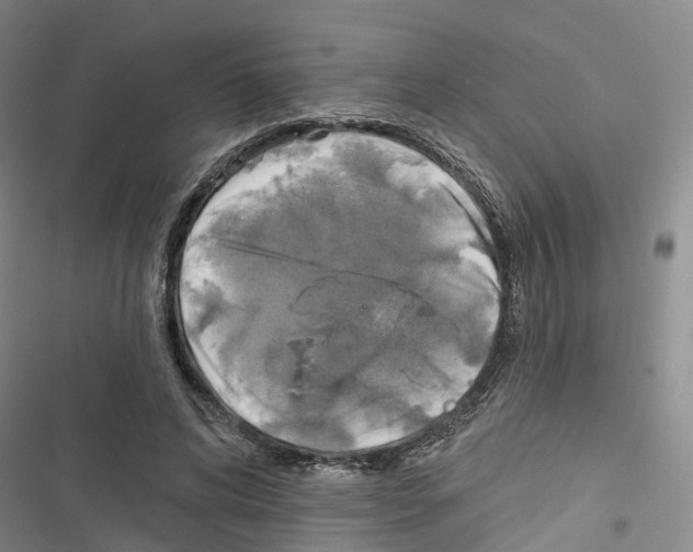 X0000116830592201001151228