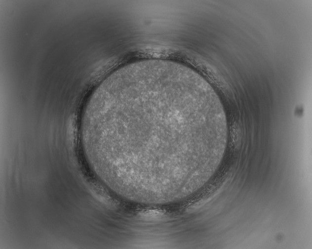 X0000116830594201001151228