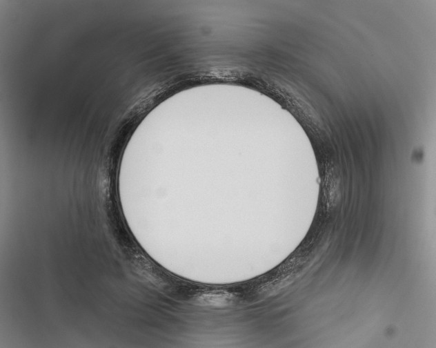 X0000116830595201001151228