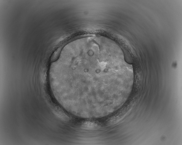 X0000116830596201001151228