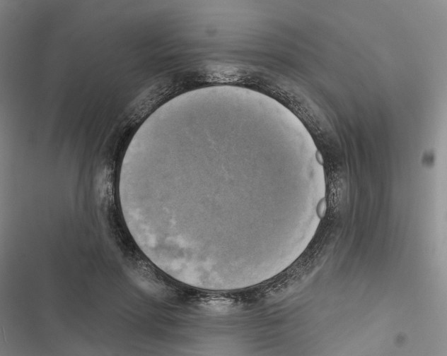 X0000116830598201001151228