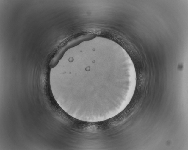 X0000116830600201001151228