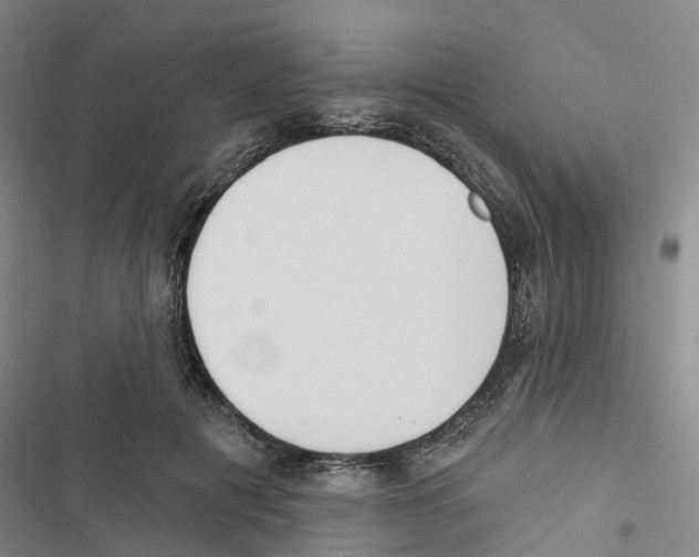 X0000116830601201001151228