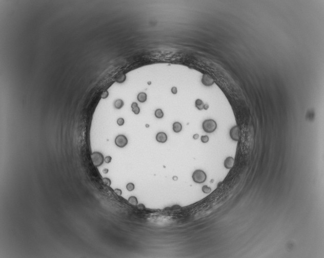 X0000116830602201001151228