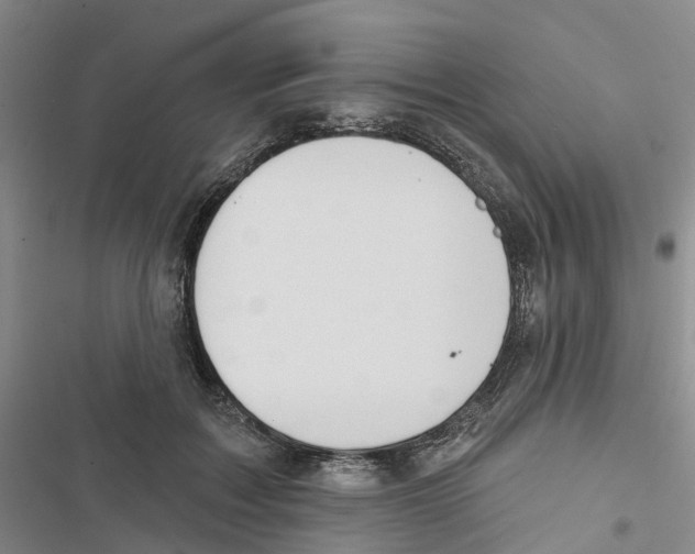 X0000116830603201001151228