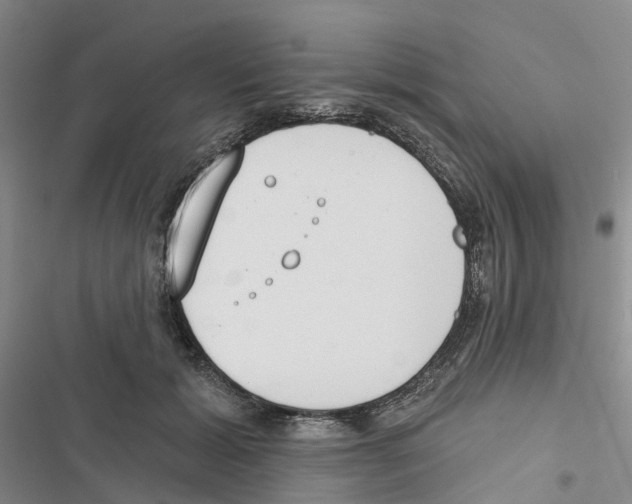 X0000116830605201001151228