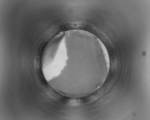 X0000116830606201001151228