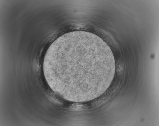 X0000116830607201001151228