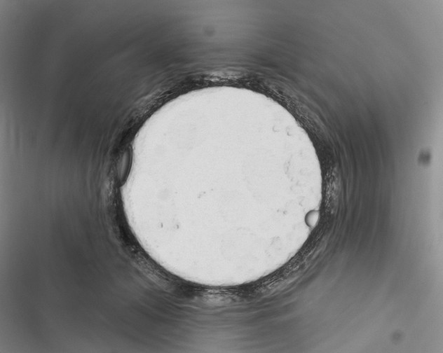 X0000116830608201001151228