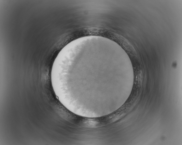 X0000116830610201001151228