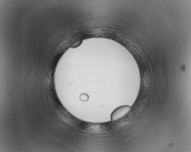 X0000116830611201001151228