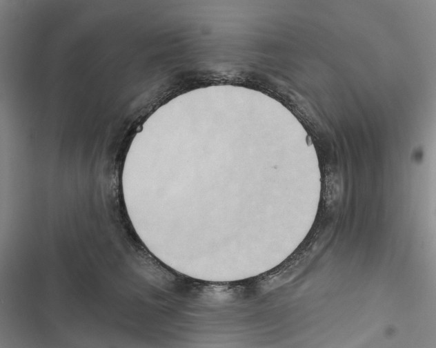 X0000116830613201001151228