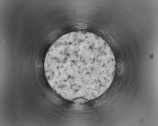 X0000116830614201001151227