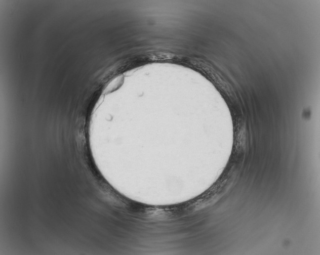 X0000116830616201001151227