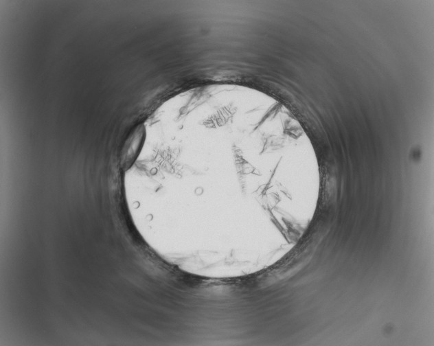 X0000116830620201001151227