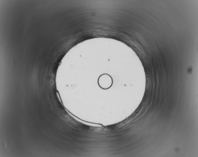 X0000116830621201001151227