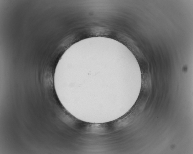 X0000116830622201001151227