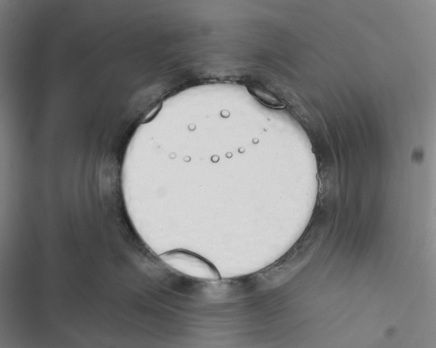 X0000116830623201001151227